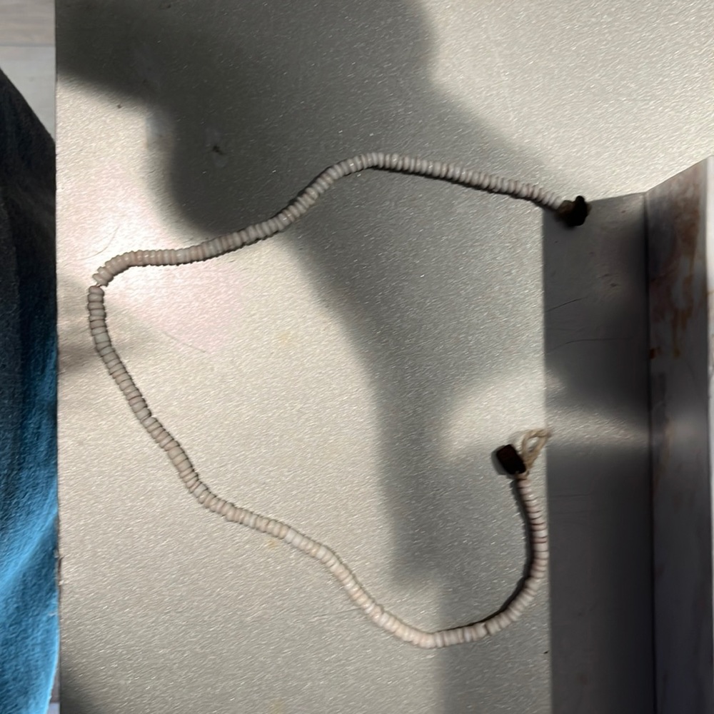 Shell necklace with twine as the holding peices